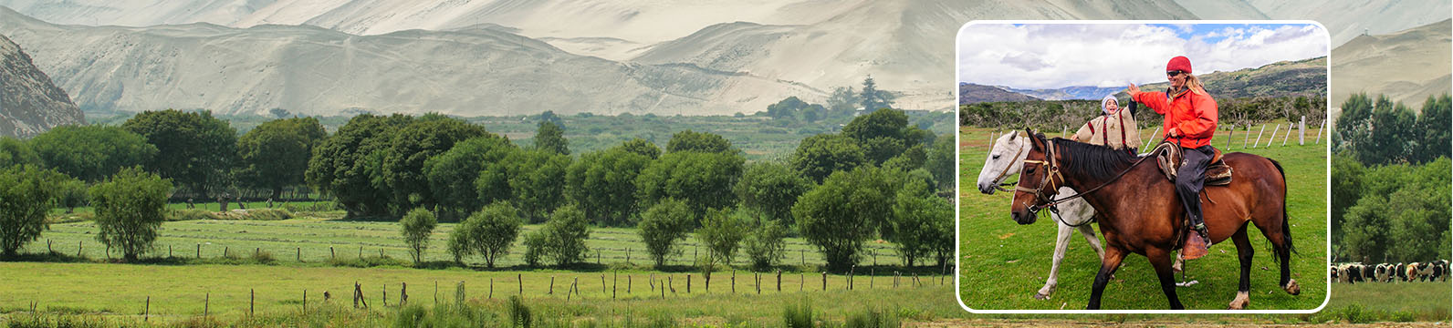 Descubre paisajes únicos en cabalgata