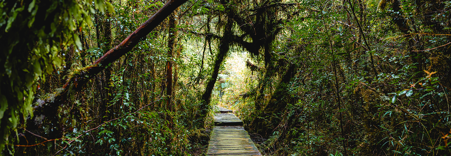 Patrimonio natural del país