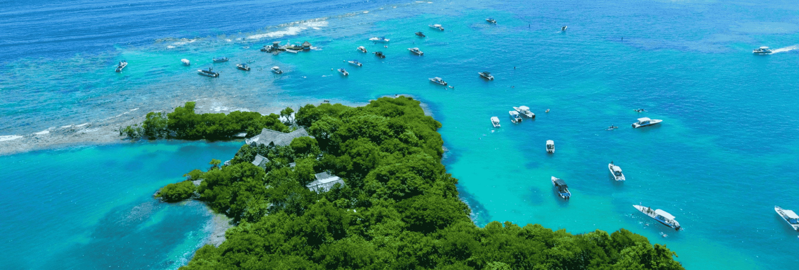 Explora las Islas del Rosario con Tur.com