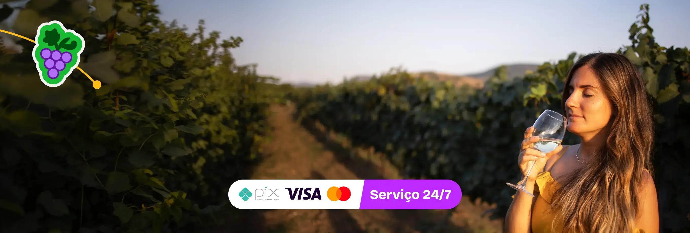 Chile es más: descubre sus experiencias de vino