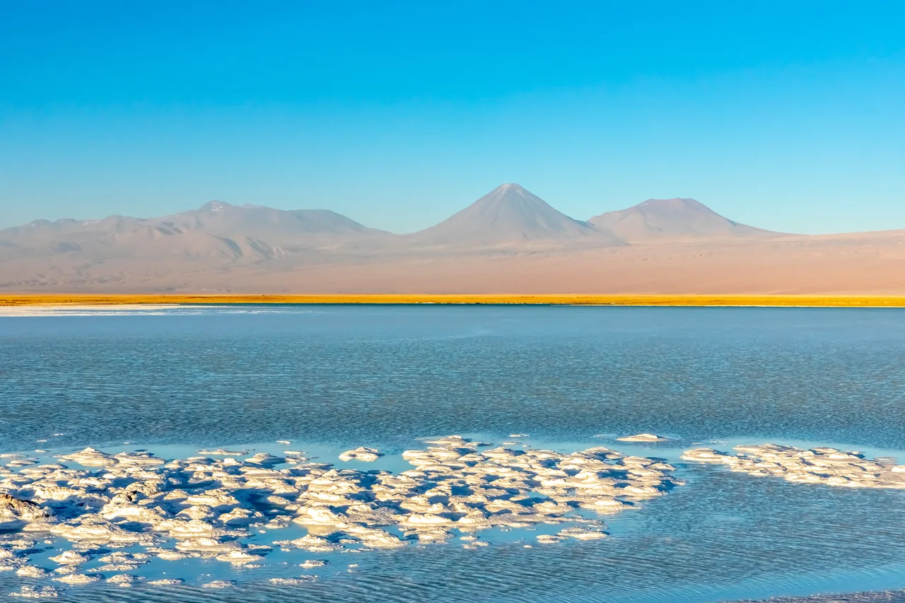 Salar de Atacama: qué hacer, fauna y consejos 