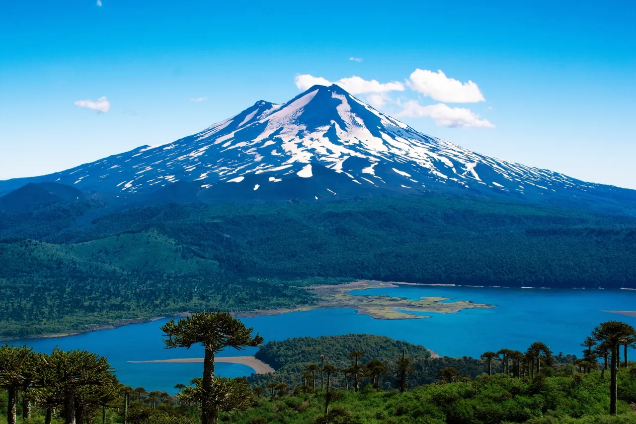 Araucanía en invierno: Araucarias milenarias, volcanes y nieve