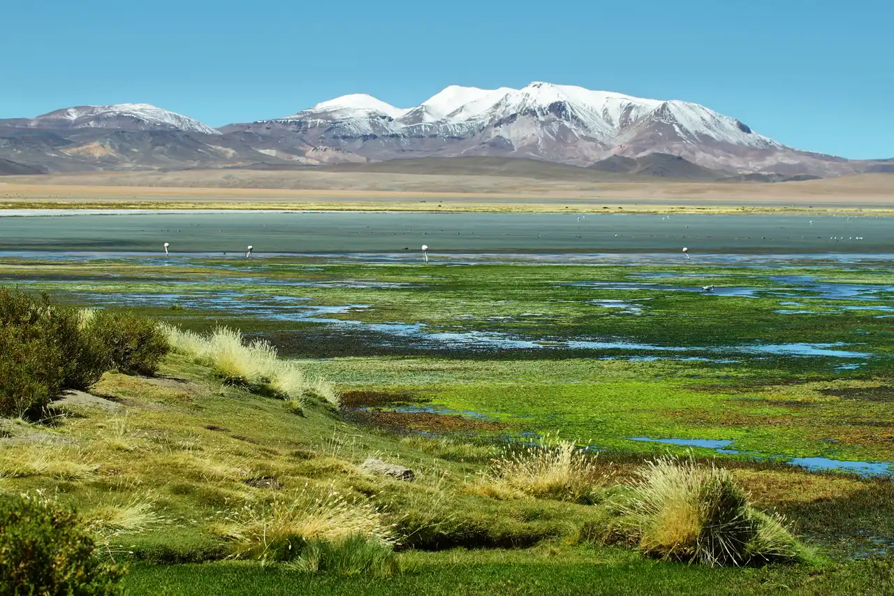 Qué hacer en San Pedro de Atacama: 10 lugares imperdibles en el desierto más árido del mundo