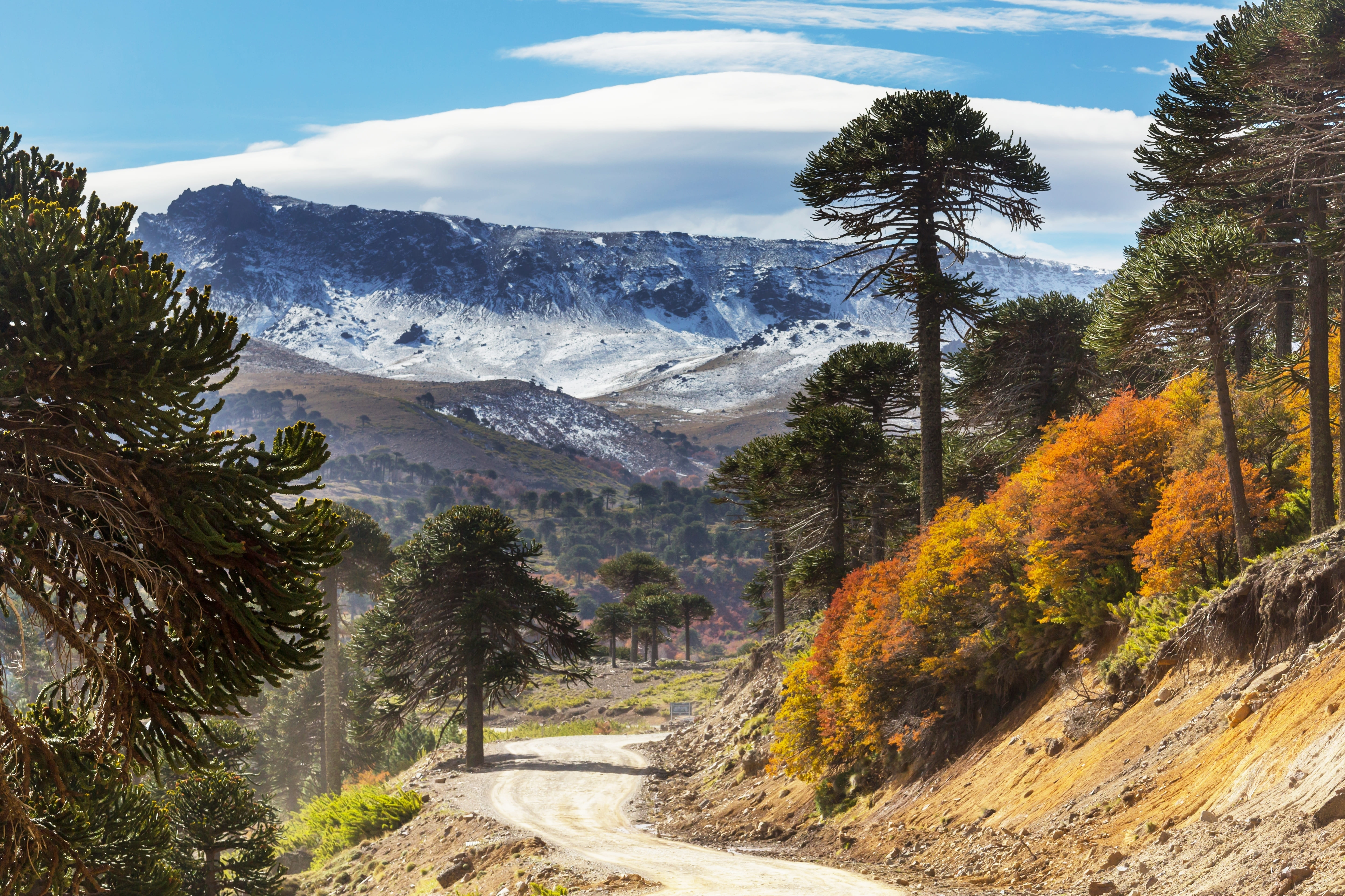 Vacaciones de invierno en La Araucanía: aventura, nieve y termas cerca de Pucón, Villarrica y Temuco