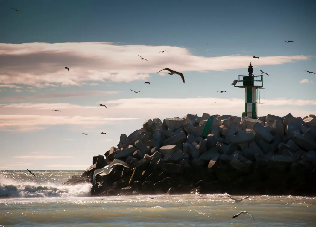 Descubre Rawson: pingüinos, delfines y Patagonia salvaje