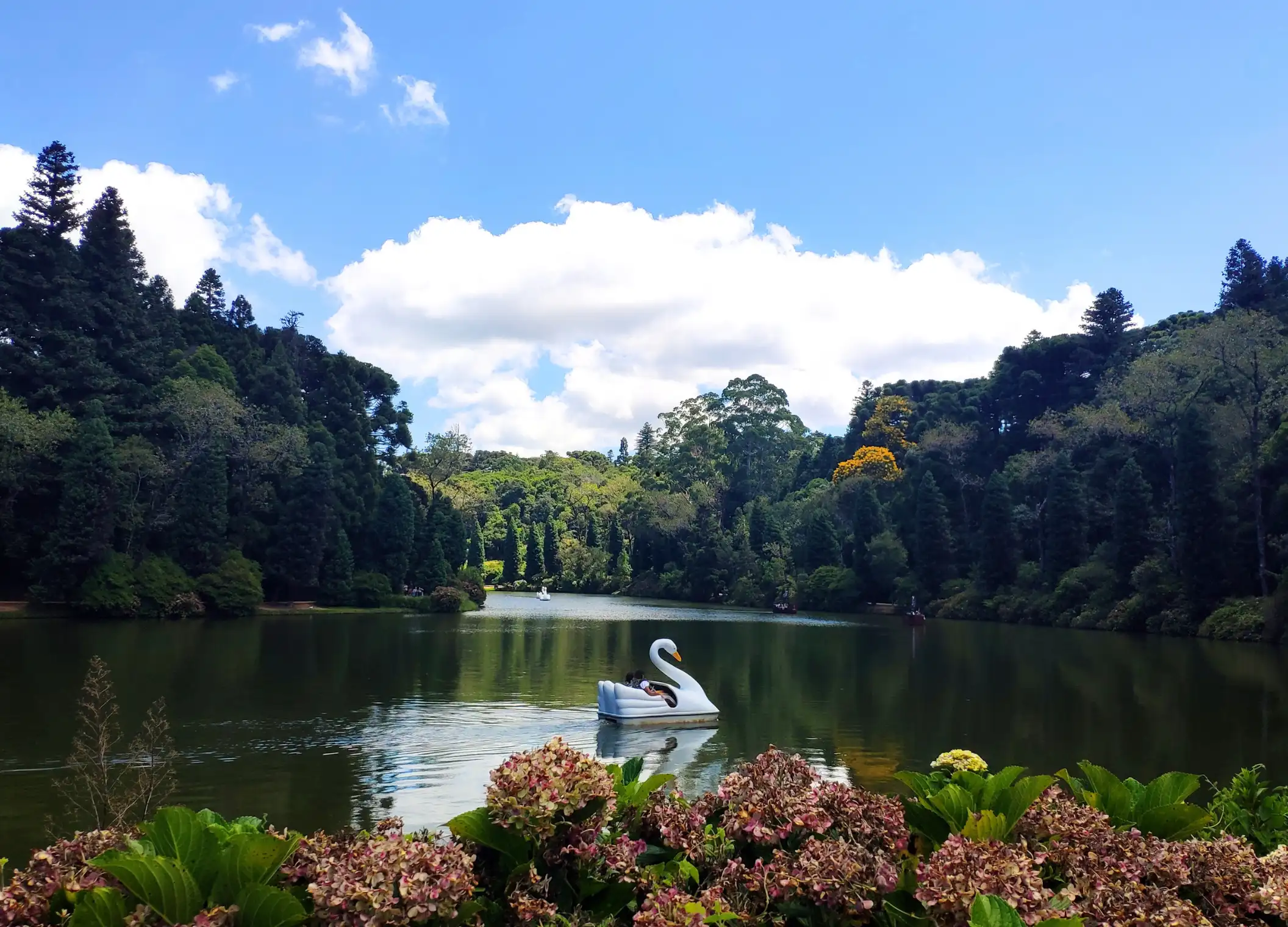 Qué hacer en Estado de Río Grande del Sur