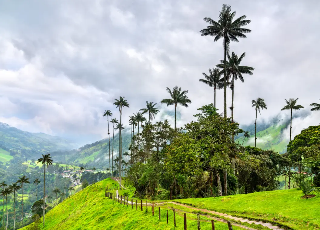 Qué hacer en Salento