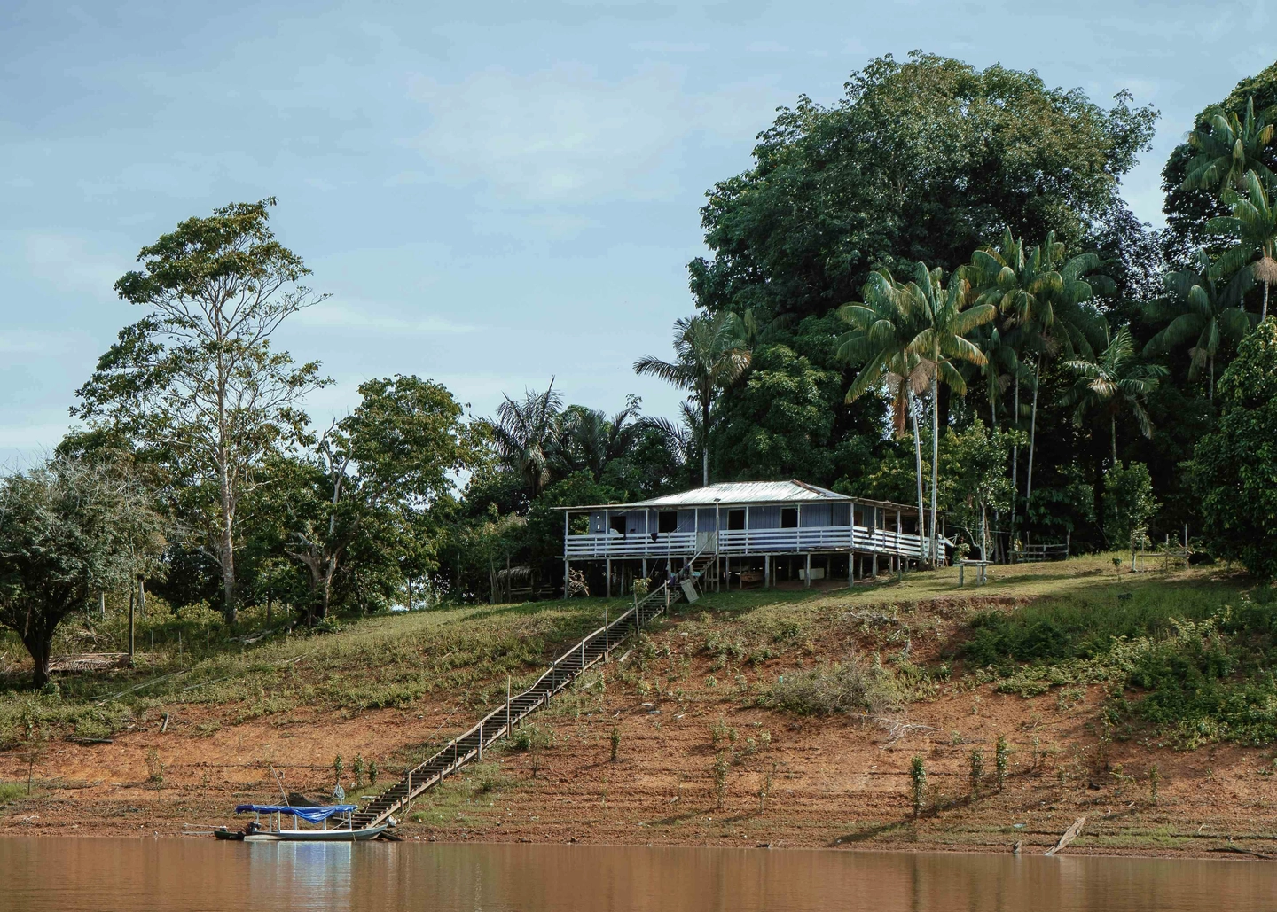 Pousada de selva - Paquete Alligator