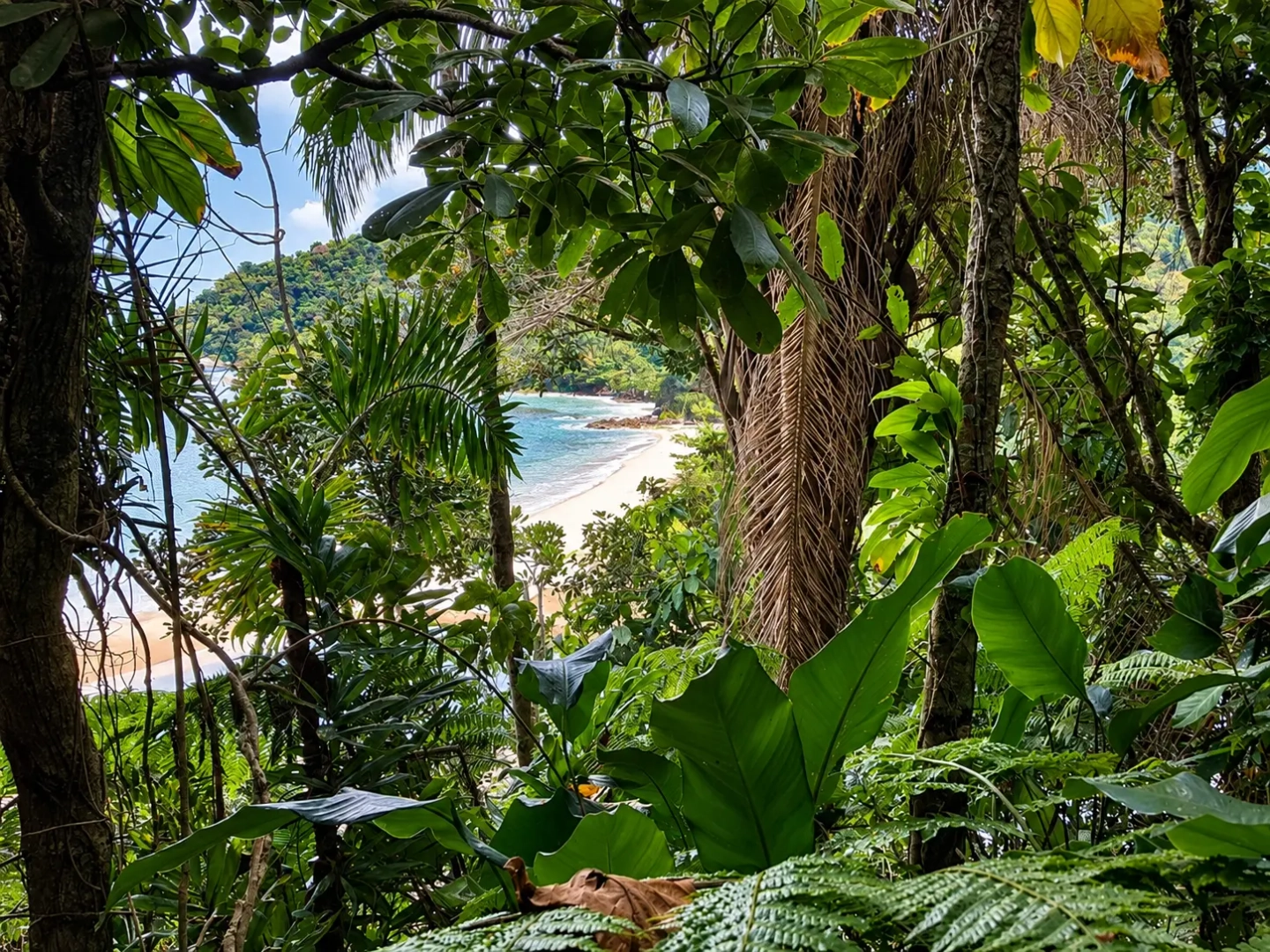 Trilha das 3 Praias na Ilha Santo Amaro