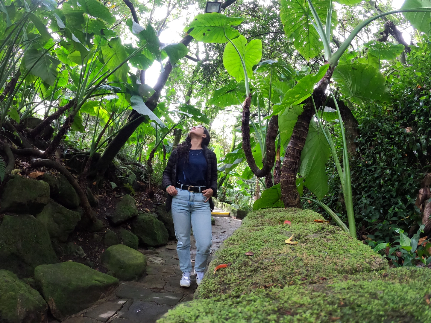 Recorrido por el Jardín Botánico y el Mercado Tradicional de Paloquemao en Bogotá