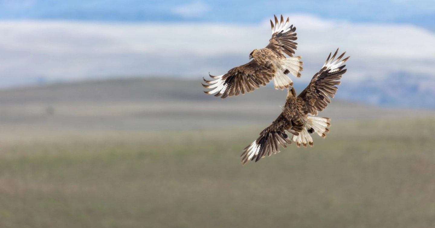 Tour fotográfico de la naturaleza en Valle de la Luna, Ñirehuao.