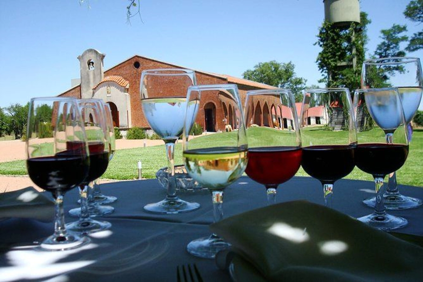 Visita y Degustación en Bodega Bouza