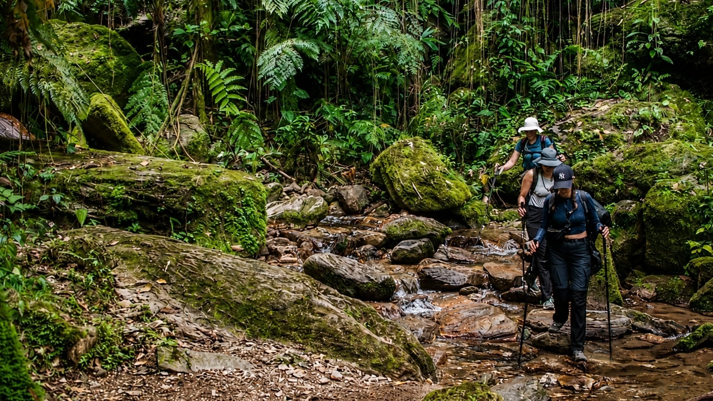 Ciudad Perdida