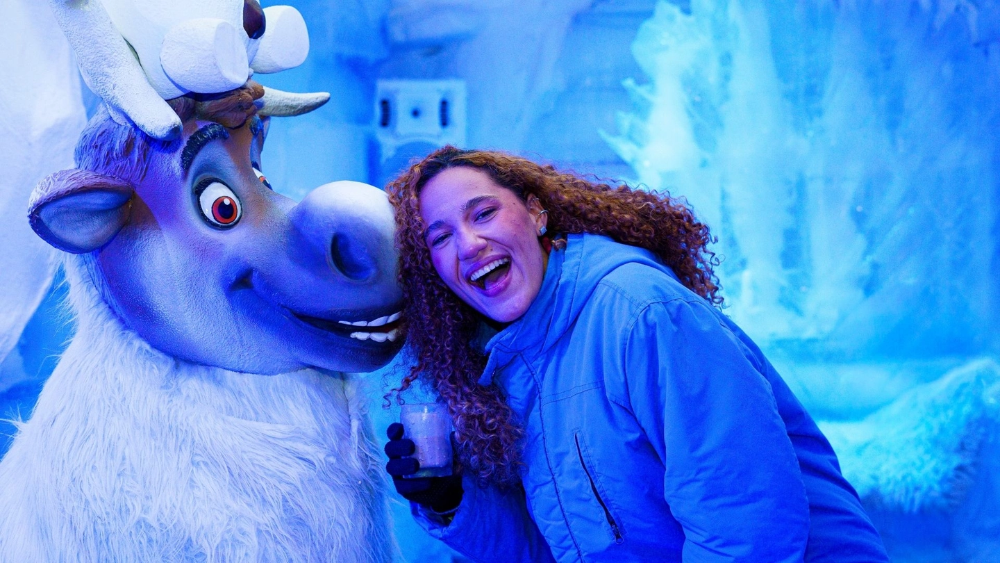 Dreams Ice Bar