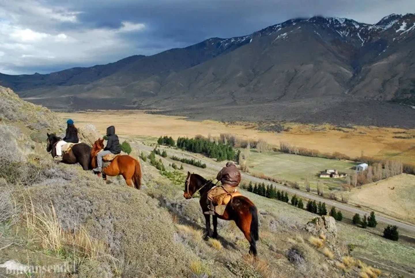 Cabalgata de 1 hora en Chacra los Alamos en Esquel