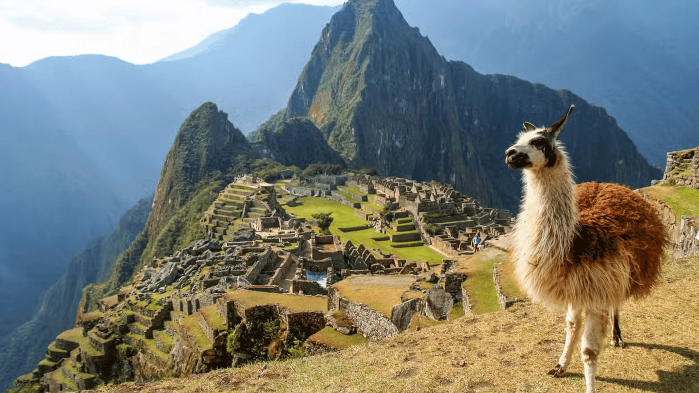 Tour inca jungle 3 días con retorno en bus/tren