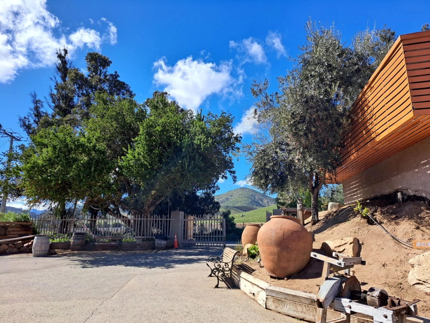 Tour Viñedos del Valle de Casablanca desde Valparaíso