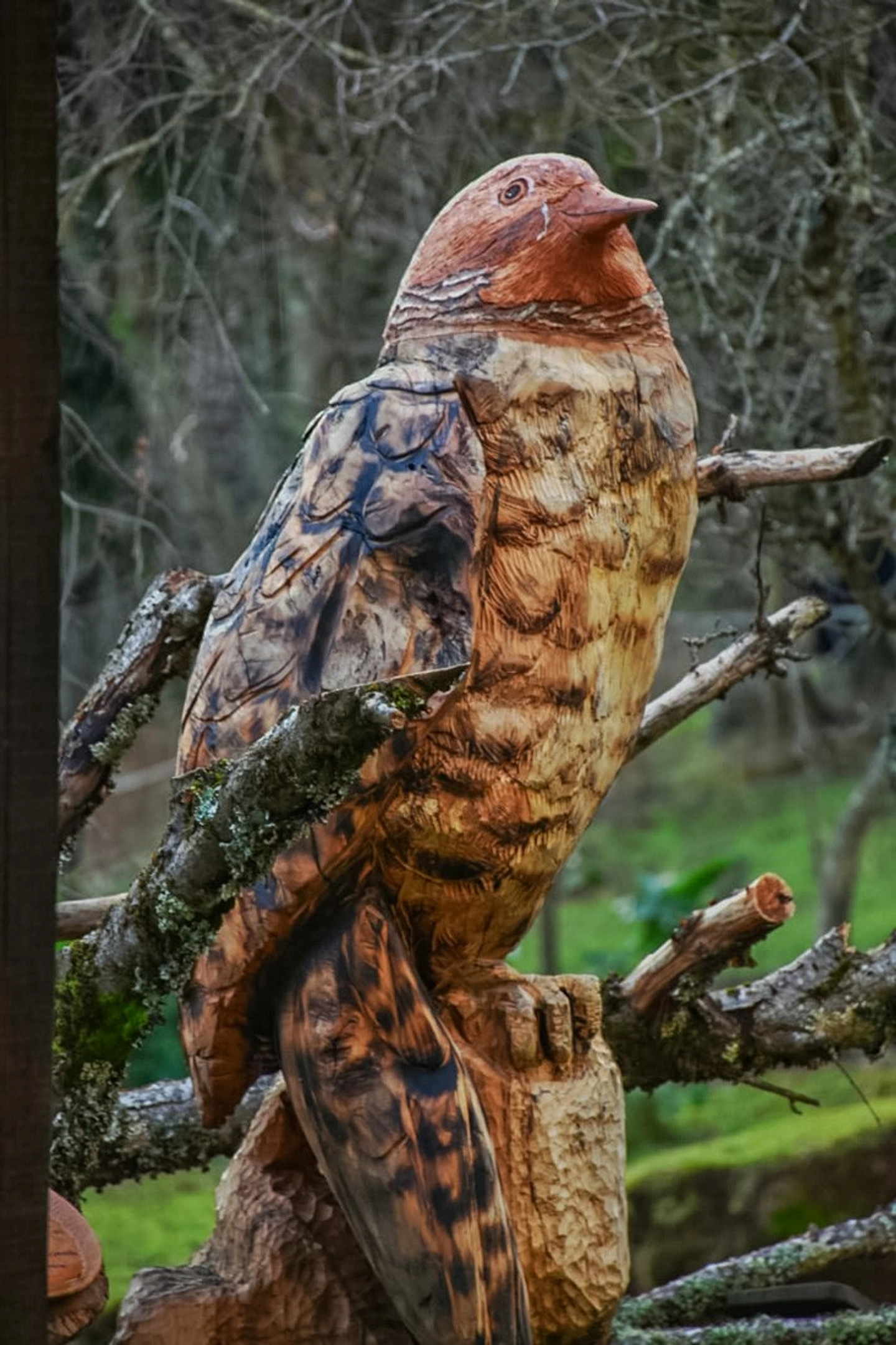 Conéctate con la historia y biodiversidad en un tour inmersivo en Lago Calafquén