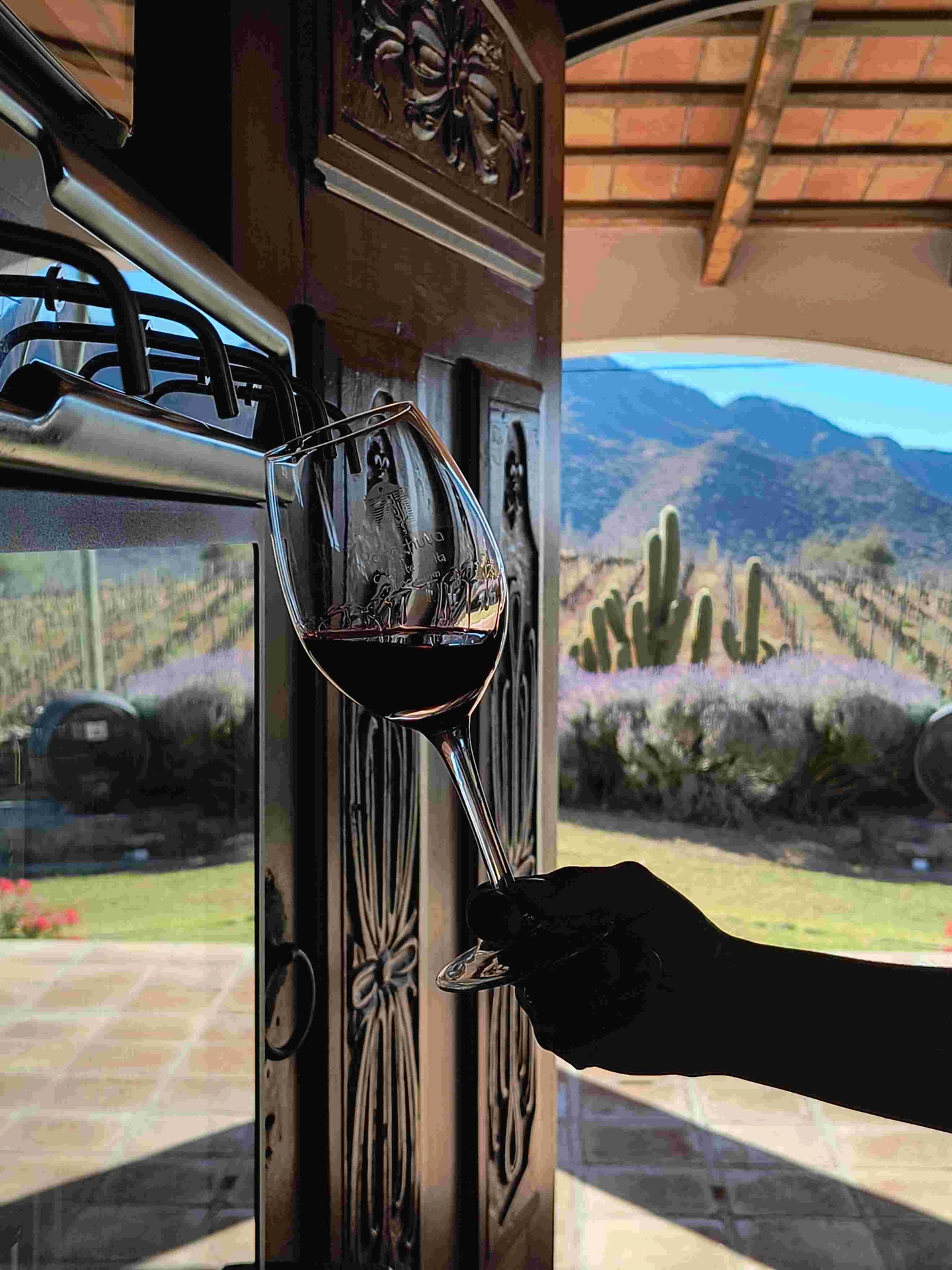 Excursión al Camino del Vino de Cafayate