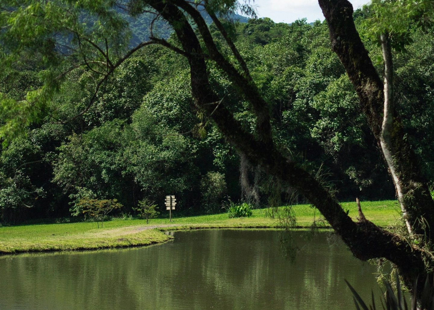 Entrada no park