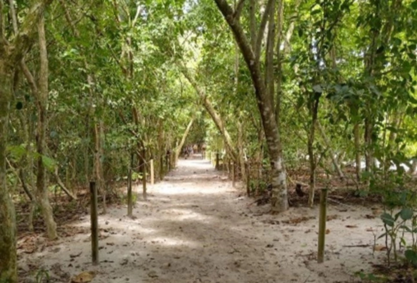 Picture 1