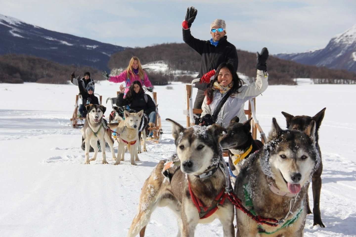 Trineos Husky, Motonieve y Cena en Nunatak