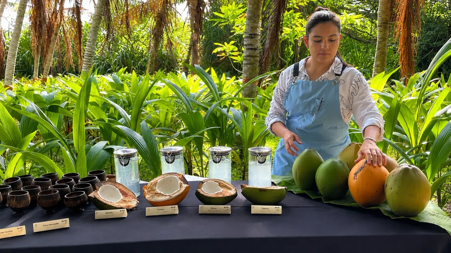Cata sensorial de Coco y Brunch Caribeñoen la Naturaleza