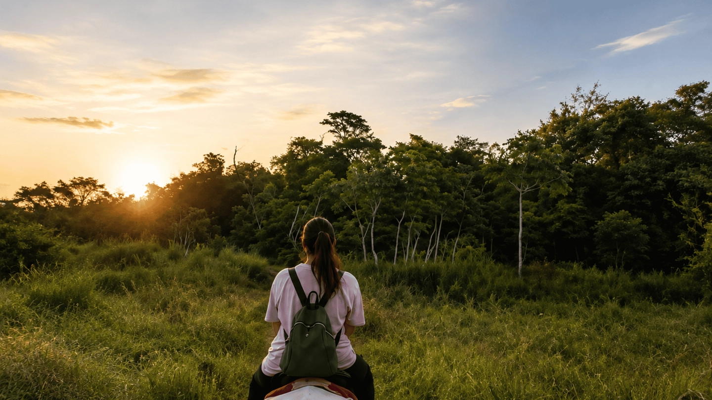 Cabalgata Ecológica en la Selva Iguazú