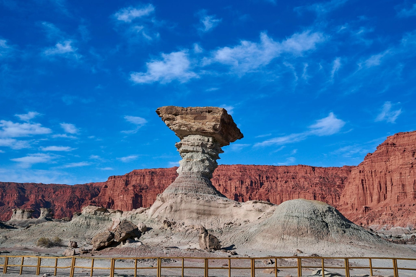 Excursión al Parque Ischigualasto "Valle de la luna"