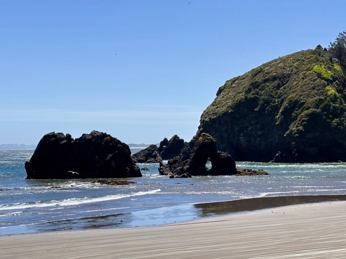 Excursión Chiloé a las pingüineras de Puñihuil y Ancud desde Puerto Varas