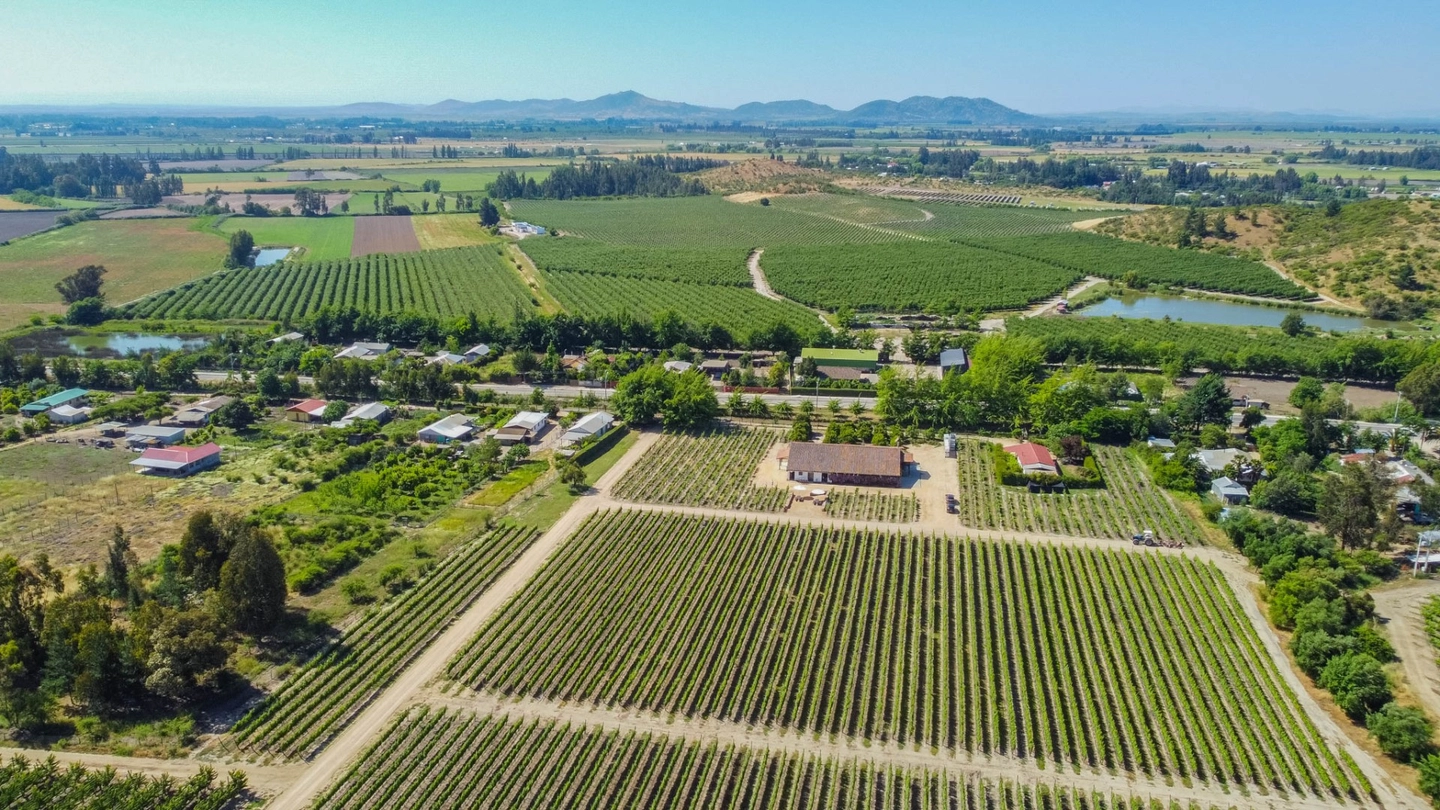 Experiencia Cata Vertical en Viña Encierra: Un Viaje por Seis Añadas Excepcionales