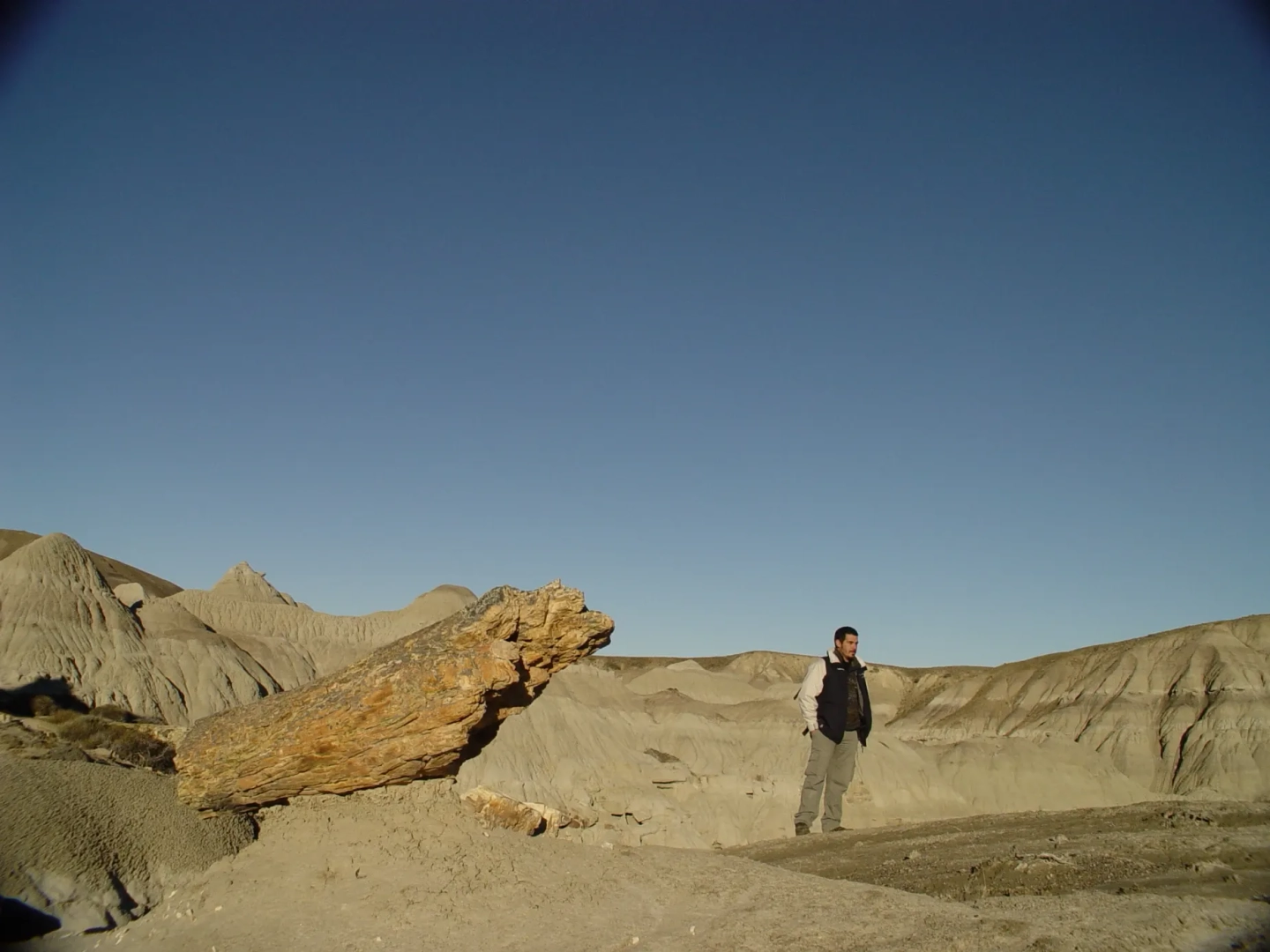 Excursión al Bosque Petrificado de La Leona
