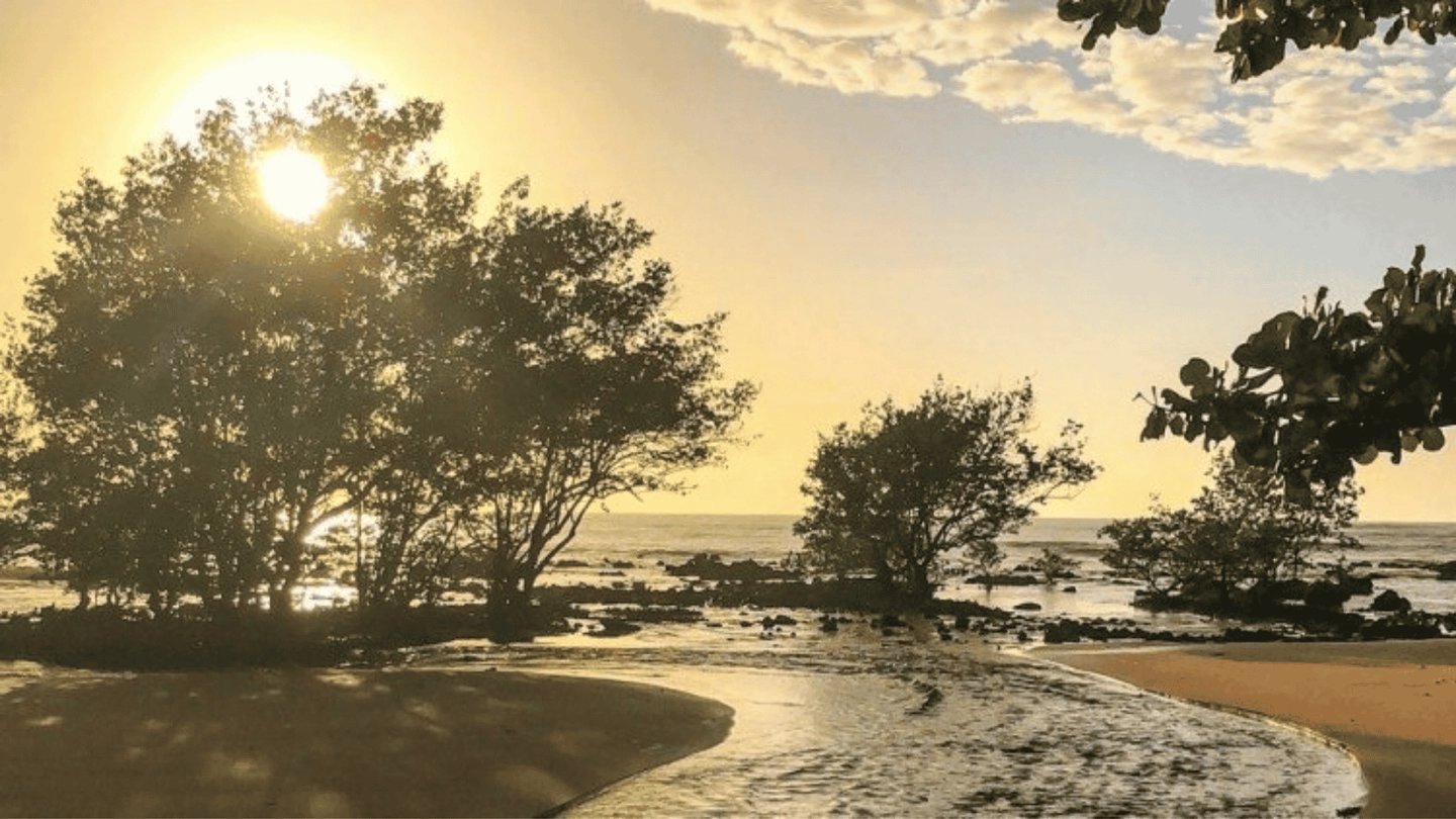PRAIA DE MANGUINHOS