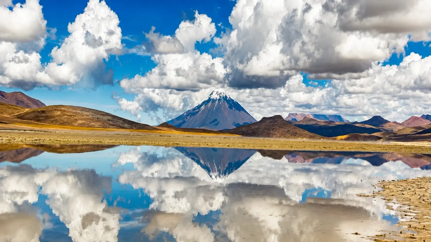 Arequipa: Dia Completo Reserva Nacional de Salinas y Mini Volcan Lojen + Guía Español/Inglés