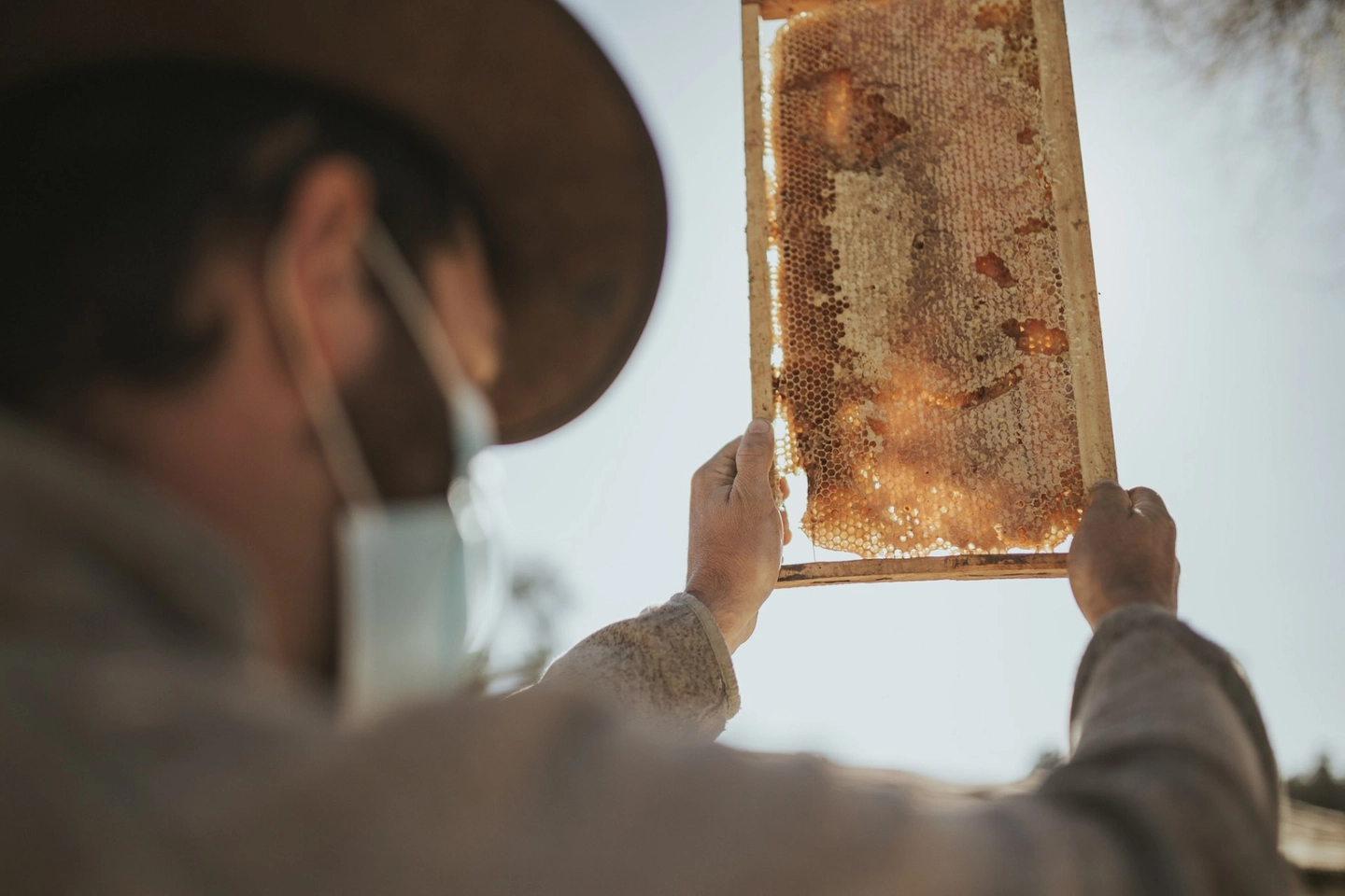 Experiencia Rural en la Granja Educativa del Valle de Casablanca