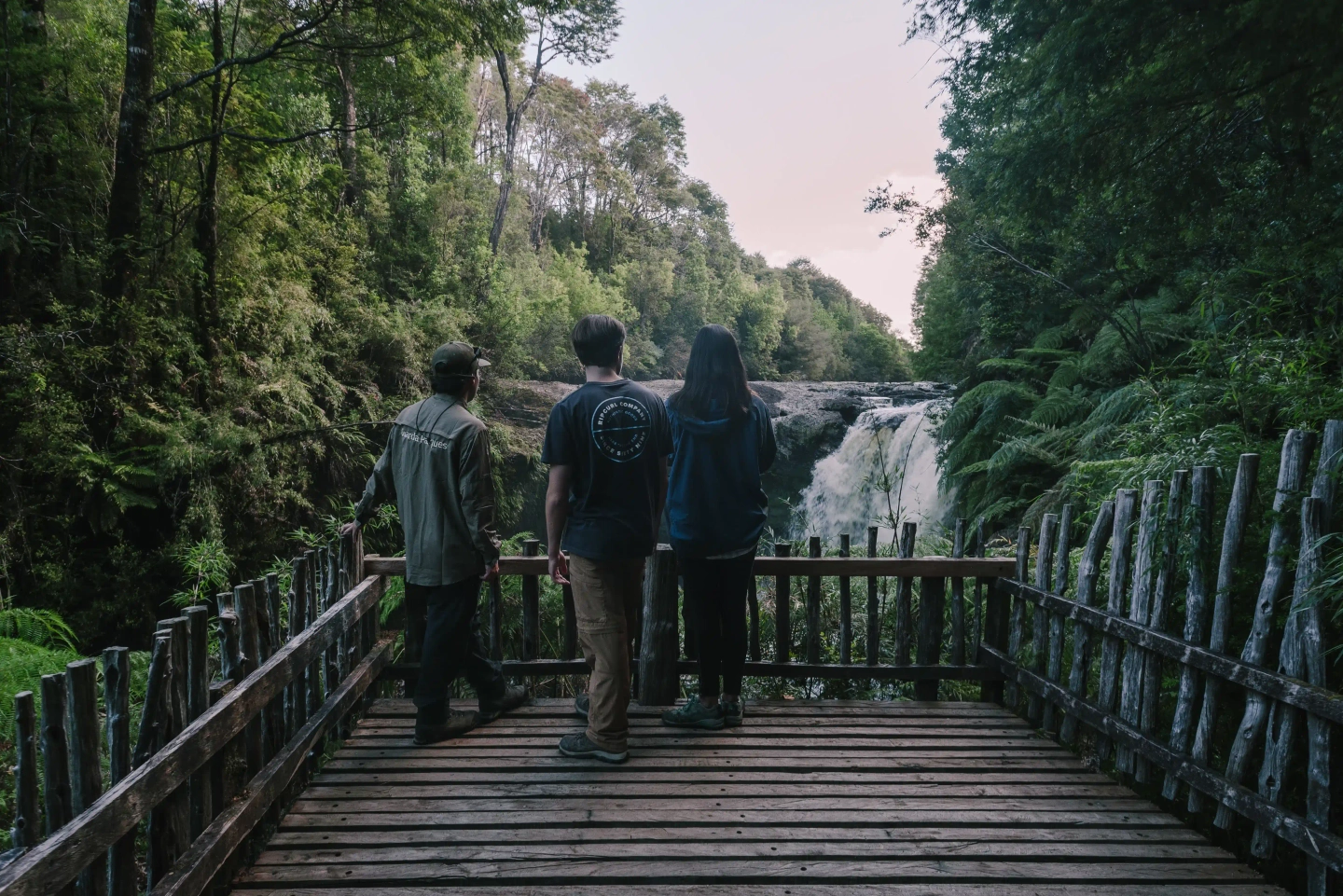 Half day Zona Bosque- Trekking Guiado cascada y mañios