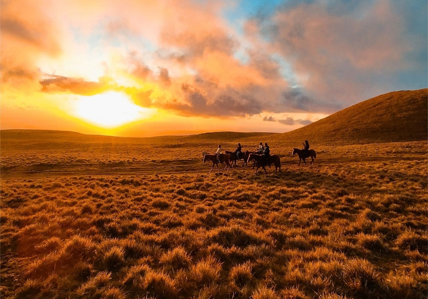 Vive la Aventura de un Atardecer a caballo en Terevaka, Rapa Nui