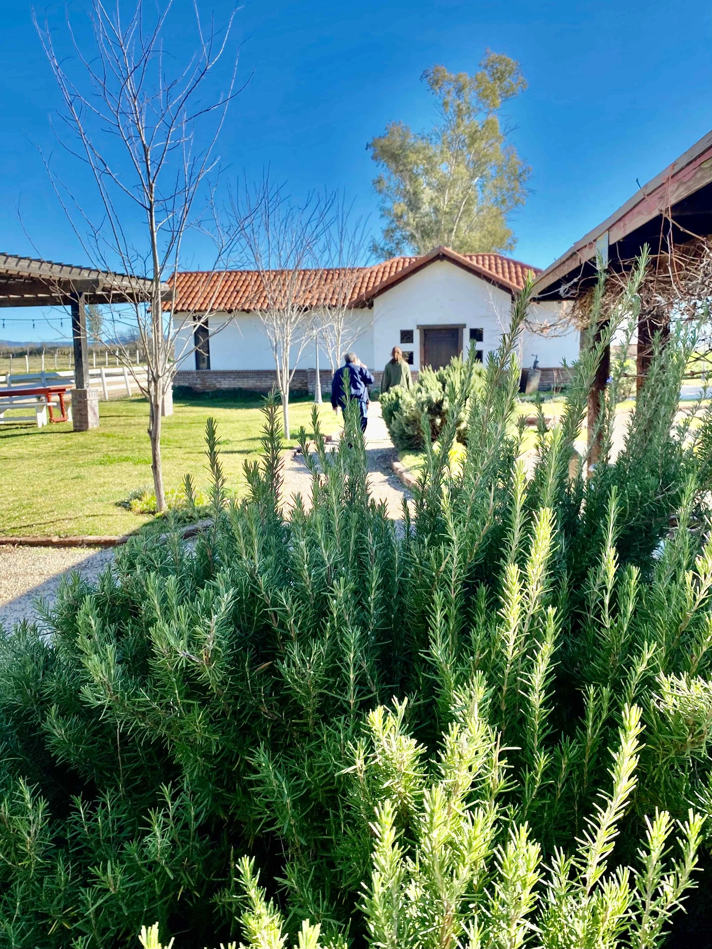 Picture 7