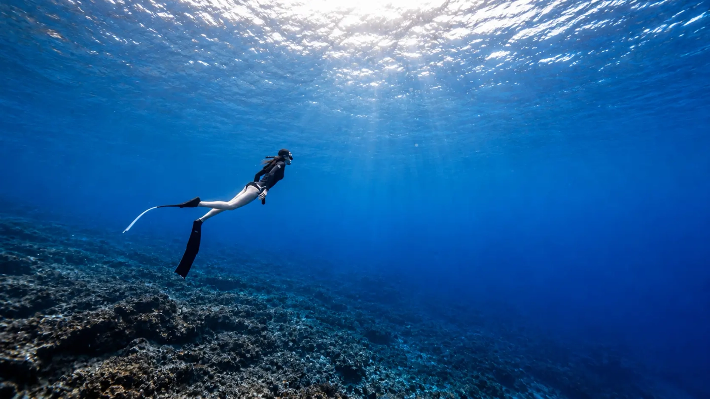 BUCEO