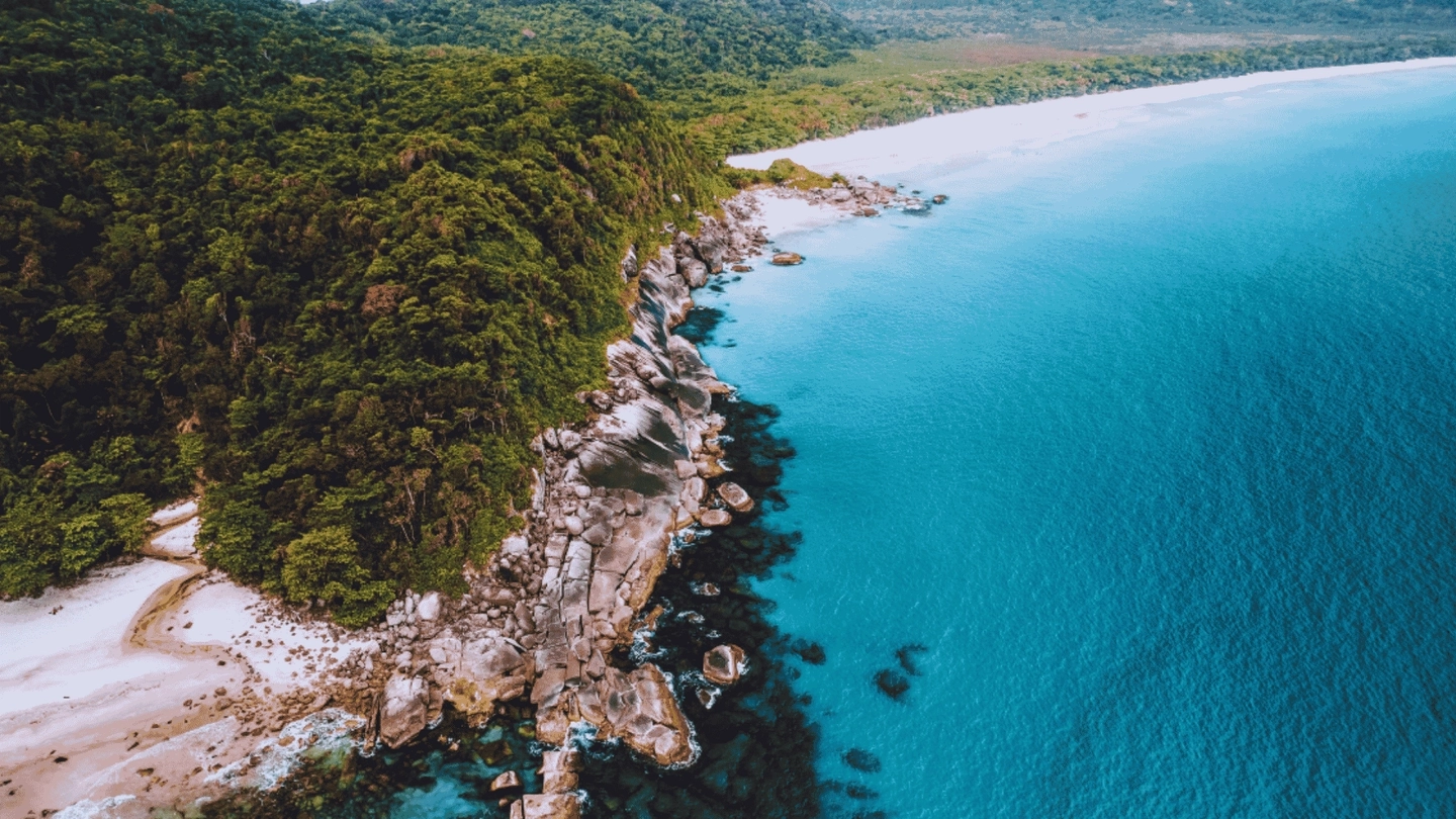 Lopes Mendes