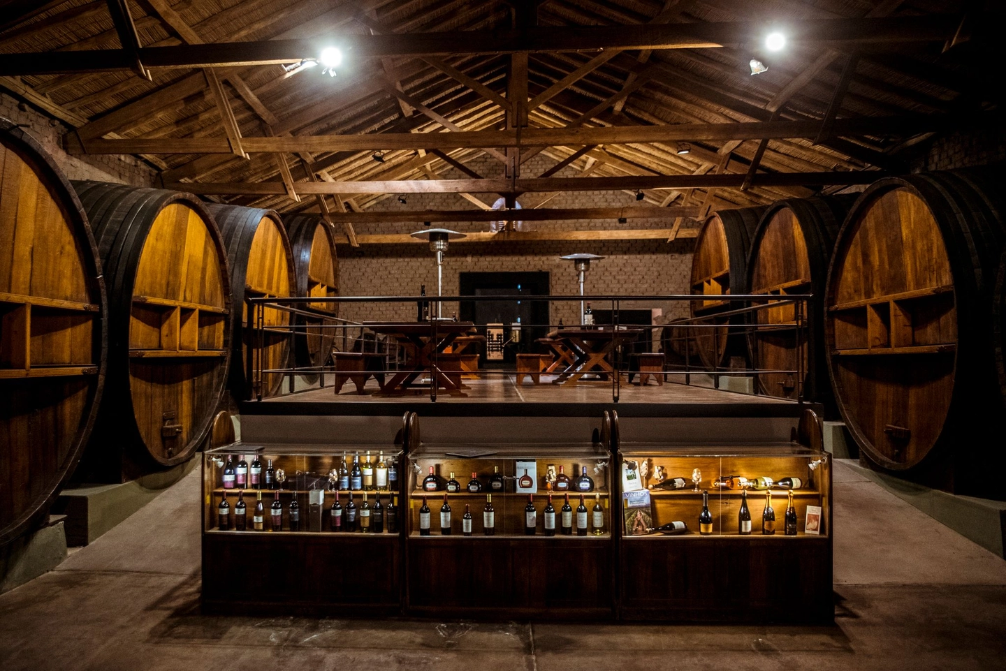 Wine Tour Superior: Degustación y Almuerzo Gourmet