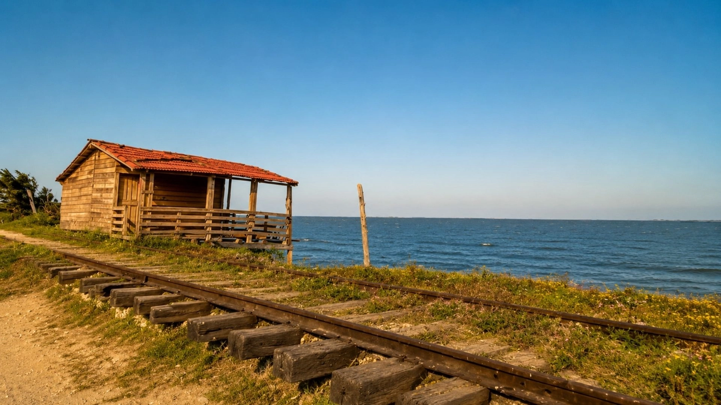 Excursión a Bocas de Ceniza y Puerto Mocho en Tren Turístico