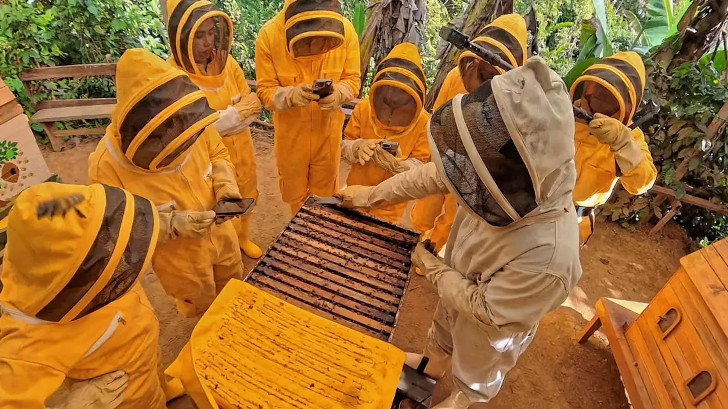Tour De Abejas (Caminando, Caballo y Carro)