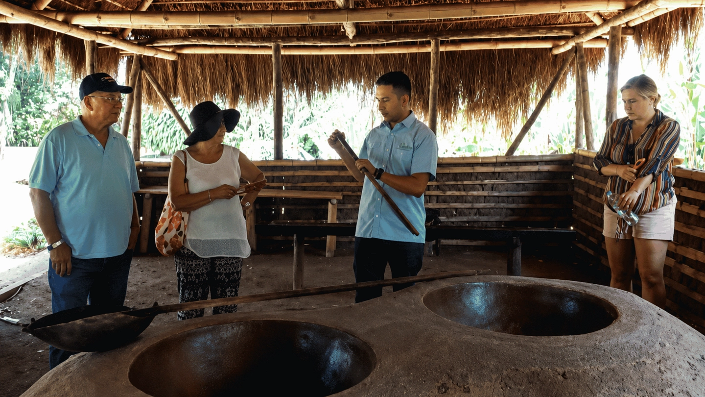 Tour por las haciendas de caña de azúcar del valle del Cauca