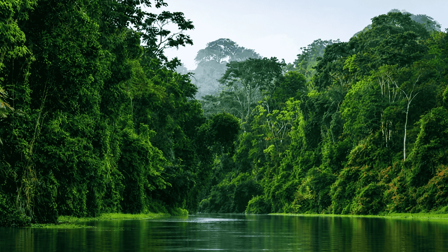 Tortuguero Canals