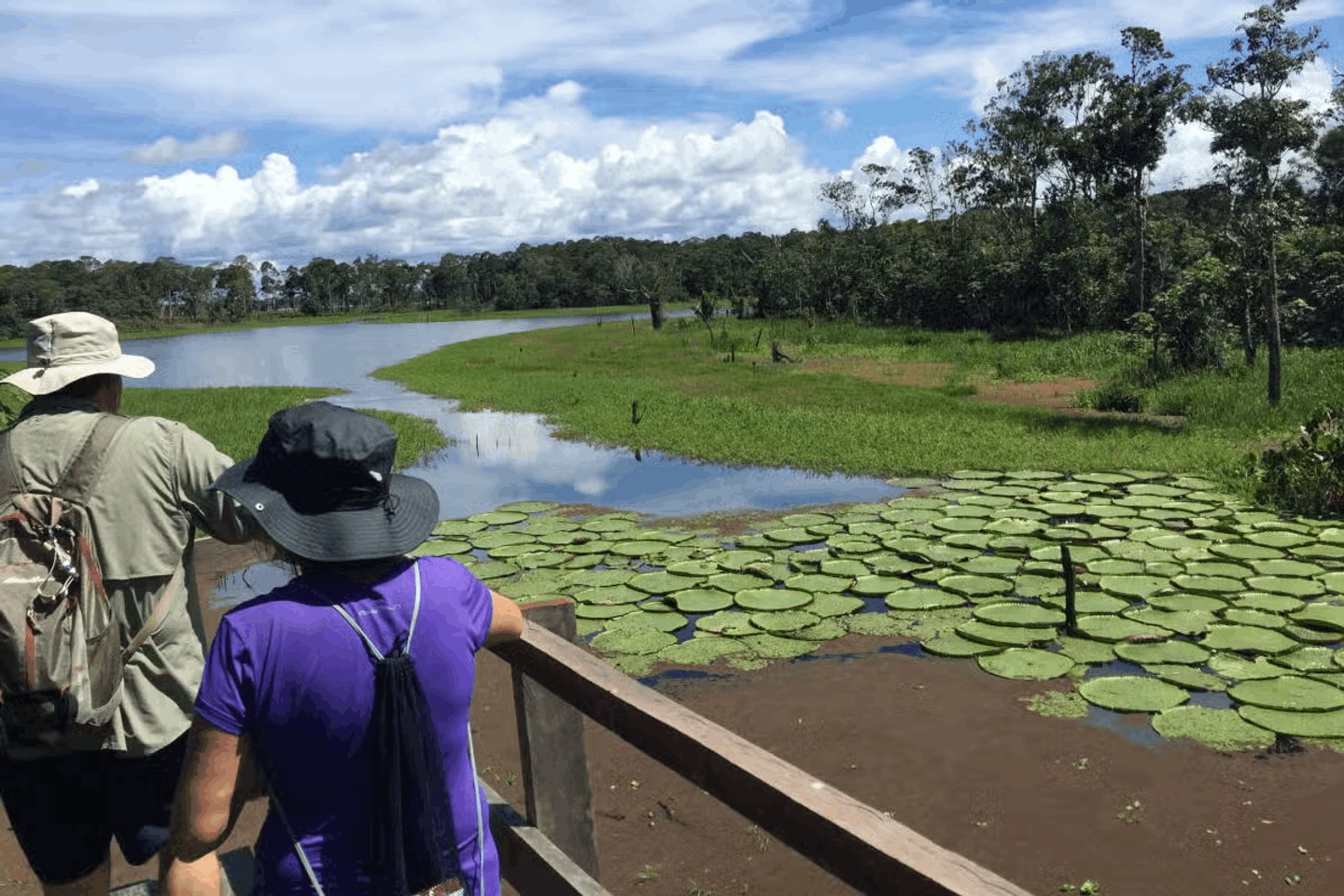 City tour Manaus