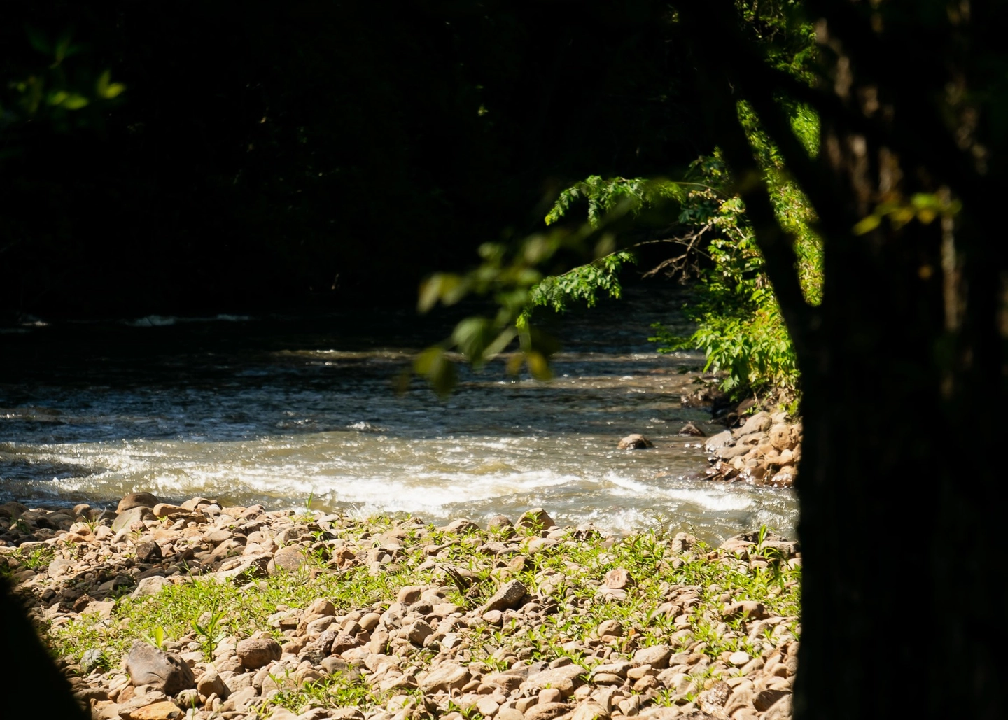 Picture 7