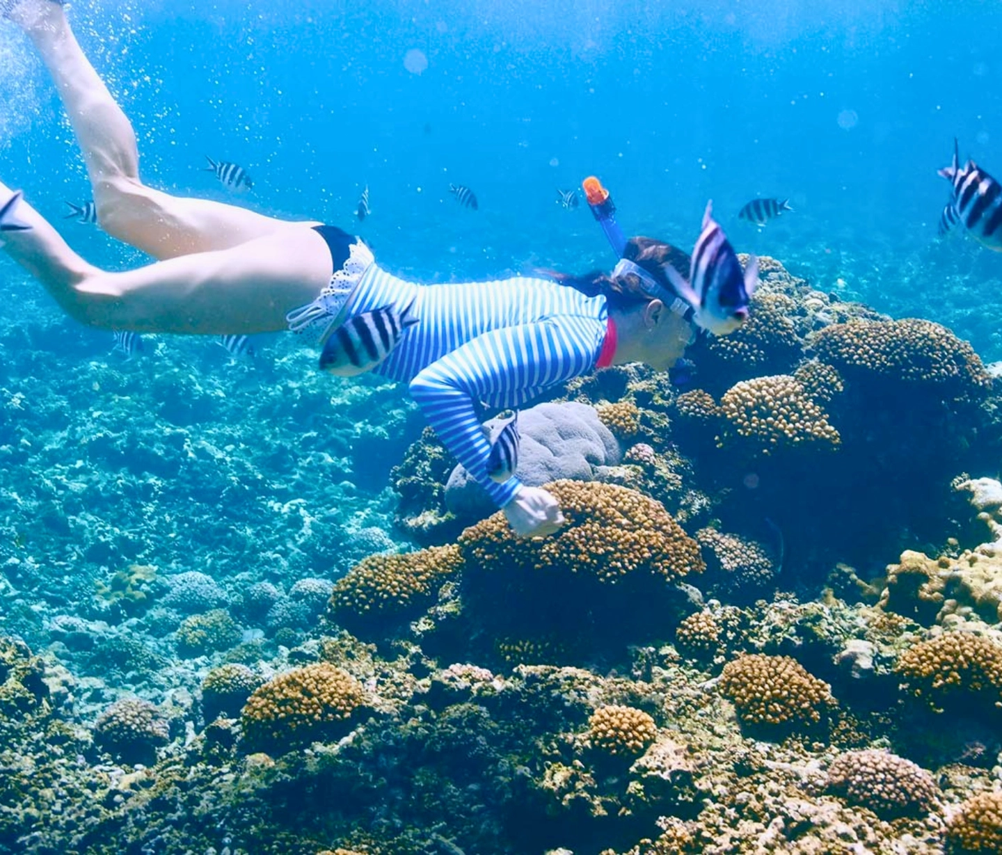 Islas del Rosario (Cartagena): Excursión en barco con oceanario y snorkel