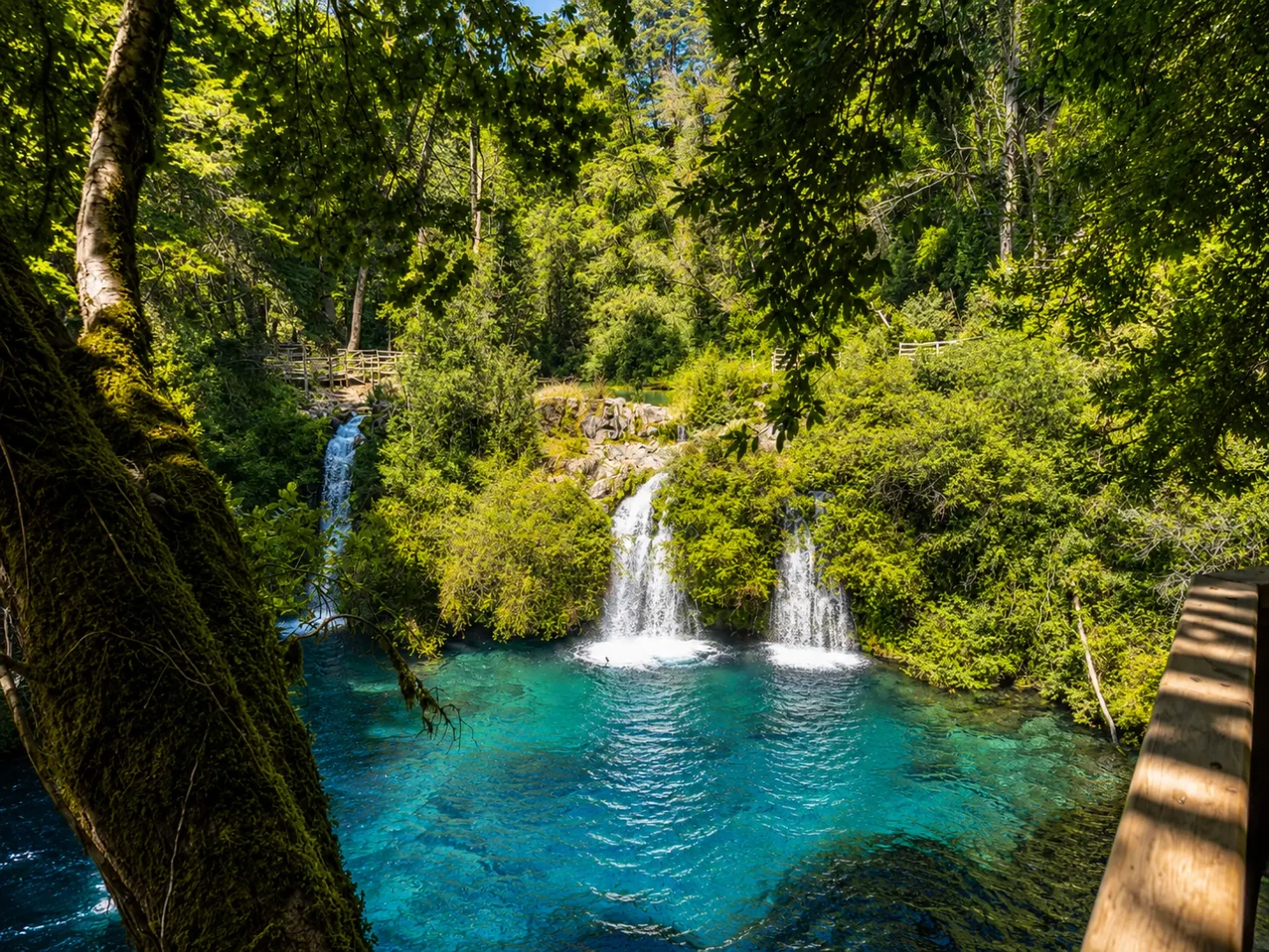 Picture 1