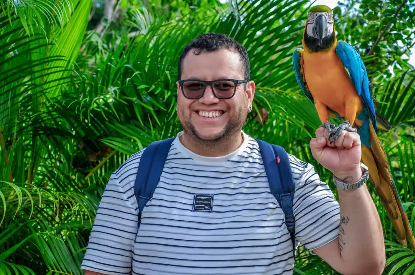 Punta Cana: saimiris, degustaciones en una granja y baño en un cenote
